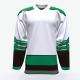 Free Design Custom Youth Ice Hockey Jerseys , 100% Polyester Ice Hockey Wear