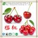 Cherry Extract powder