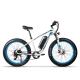 Lightest Long Range Electric Bikes Cycle 100km 1000w 48v 20Ah Hardtail Mechanical Brake