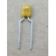 SMD 100V Ceramic Safety Capacitor - Reliable Performance