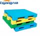 1 Way Economy Plastic Shipping Pallets Green Package Pallet HDPE