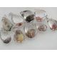 Wholesale Natural Phantom Crystal Gemstone Semiprecious Stone Pendant Jewelry