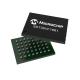 American Microchip Integrated Circuits SST39VF1681-70-4C-B3KE Brand New Original Electronic Components Package  Monitor and Reset Ethernet Controller