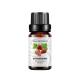 Pure Strawberry Seed Essential Oil ODM Natural Strawberry Massage Oil