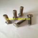 310S nuts bolts washers  1.4841