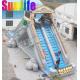 Outdoor Double Lane Backyard Inflatable Water Slide For Pools Anti Ruptured