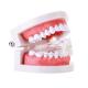 Invisible Orthodontic Braces Dental Materials Aesthetic Convenient