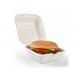 6 Square 20g 100% Compostable Biodegradable Take Out Boxes