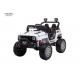 Electric Kids Ride On Truck 12V Battery Powered 2.4G Remote Control