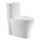 Pressure Assist Siphon Flush Valve One Piece Skirted Toilet Bidet Map 1000G