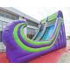 Commercial Inflatable Jumper Castle Water Slide Bounce House