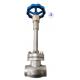DJ61F-50P Industrial Cryogenic Globe Valve With Wide Operating Temperatures