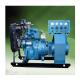 Electric Start Biogas Generator Equipment Customized Power Output