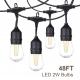 Heavy Duty Waterproof Dimmable Commercial Grade LED String Lights