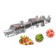 Industrial Cleaning And Drying Machine For Vegetable And Fruit 1-3T/H Capacity