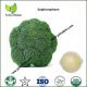 broccoli cruciferous extract,Sulphurophane 1%-98%,Sulphurophane 5%