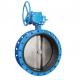 Worm Gear Actuated 150LB Flange Butterfly Valve