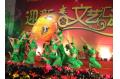 Jiangxi provincial metallurgical higher vocational college held the art festival to 2010 Spring Arts Festival