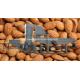 Automatic Almond Shell and Kernal Separating Machine