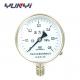 250Mpa Stainless Steel Pressure Gauge Manometer Movement