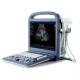 4D Ultrasound Equipment With 15 Inch LCD , Color Doppler Ultrasound Machine