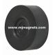 plastic Injection bonded magnet for magnetic component