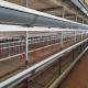 Durable H Frame Automatic Chicken Broiler Cage Electric Cages with Q235A Steel