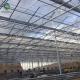 Multi Span PC Sheet Greenhouse Polycarbonate Covering Plant Growth
