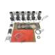 For Perkins 1106 Overhaul Kit With Bearing Set Engine