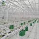 Agricultural Hydroponics Large Multi Span Greenhouse Steel Structures