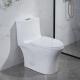 28 1.28 Gpf Dual Flush One Piece Toilet 10 Inch Rough In American Standard