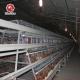 Q235A A Type Laying Hens Battery Chicken Cage With Chicken House For Africa