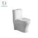 OEM/ODM Available One Piece Toilet Bowl With Mute Cover Soft Closing