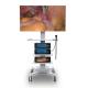 Ultra 4K Medical Endoscope Camera System Tower DEC3840A For Laparoscopic Surgery
