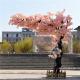 1 Side 2.5m Artificial Blossom Tree Silk Flowers Wedding For Park Decoration