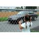 10 Gauge Chain Link Mesh Fencing 50*50mm 75*75mm Diamond Mesh Wire Fencing
