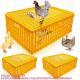 Poultry Carrier Crate Chicken Transport Cage Bird Chicken Carrier Travel Crate Basket Box