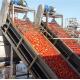 6.5tons Per Hour Raw Tomato Paste Production Line