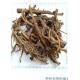 Dandelion root powder, Taraxacum mongolicum root powder