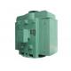 3.3KV / 6KV 3 Phase Asynchronous Motor Mounting Types B3 Variable Frequency