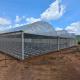 Hydroponic Complete Thailand Multi Span Greenhouse Side Ventilation Industrial