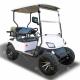 Two-Person Golf Cart with LED Lights Rear Drum Brakes Customizable Color