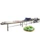 Hot selling Dried Fruit Washing Drying Packingproduction Line by Huafood