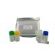 Strong Specificity Mouse Cathelicidin Antimicrobial Peptide CAMP LL-37 ELISA Kit 96 Wells