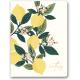 6.5 Inch Lemon Tree Hardcover Lined Notebook With Coated Paper