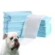 Stocked Style Pet Pee Training Pads Customized Disposable Pads for Dogs and Cats
