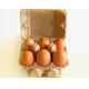 Popular customized 6 holes egg carton egg tray production line egg box machine