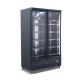Black Double Swing Glass Door Reach In Freezer With R290 Refrigerant Auto Defrosting