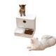 ABS Pet Feeder And Water Dispenser Smart Automatic Pet Feeder With WiFi / Camera