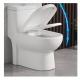 Traditional Design Style Modern Ceramic Toilet WC Floor Mounted Siphonic One Piece Toilet